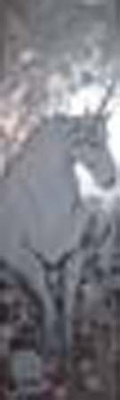Unicorno 